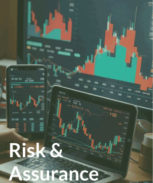 Risk-&-Assurance Financial Controller Services in UAE